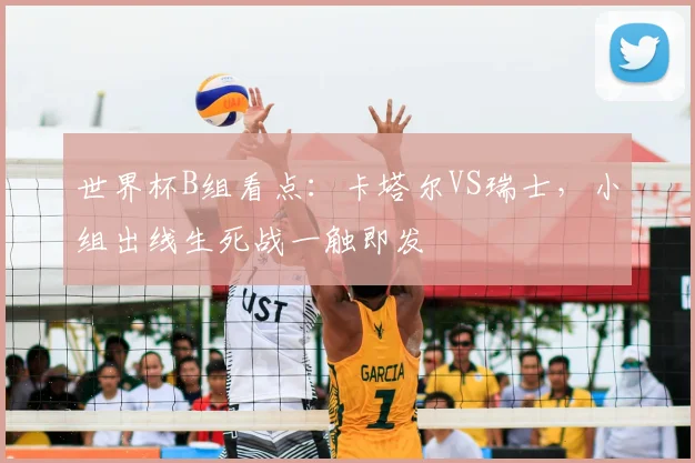 世界杯B组看点:卡塔尔VS瑞士,小组出线生死战一触即发